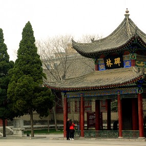 【随 拍】 碑 林 的 春 天.....