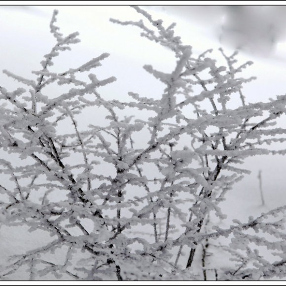 秦岭东粱雪景美如画