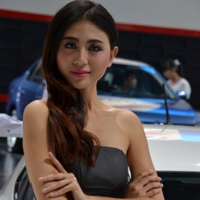 国庆车展美女（九）