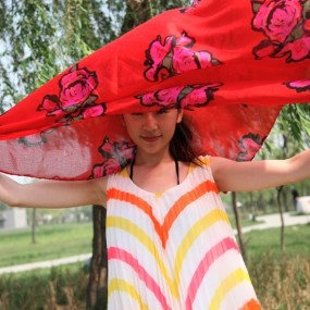 一个华容婀娜的女子