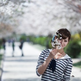 樱花美女齐争艳--思源作业