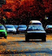 2008年2月 每月观片