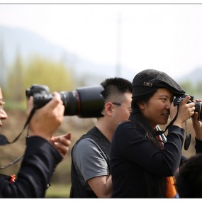 汉中油菜花之摄友众生相（一）各种姿势