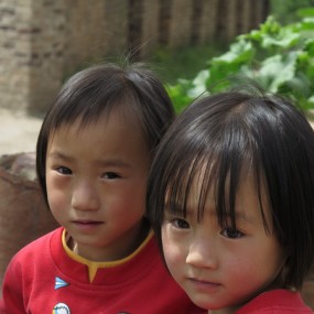 陈炉的快乐孪生姐妹