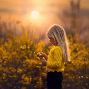 如何用简单的中央构图拍出不简单的照片