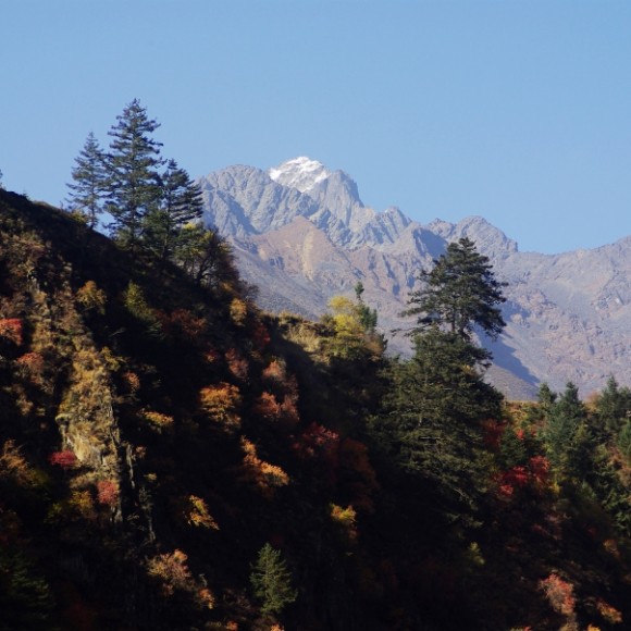 《山野的盛装》