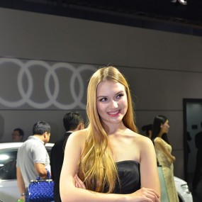 2014西安车展绿地部分