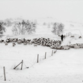 此时此刻，冬日坝上
