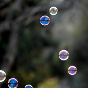 2012初春三月随拍