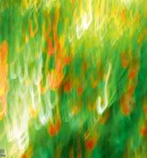 欺骗相机的“眼睛”