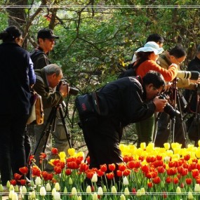 执著的摄影人(2)