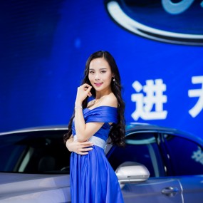 西安十一国际车展