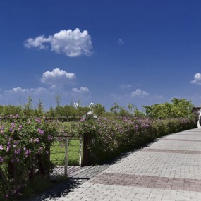 沣河生态湿地景区