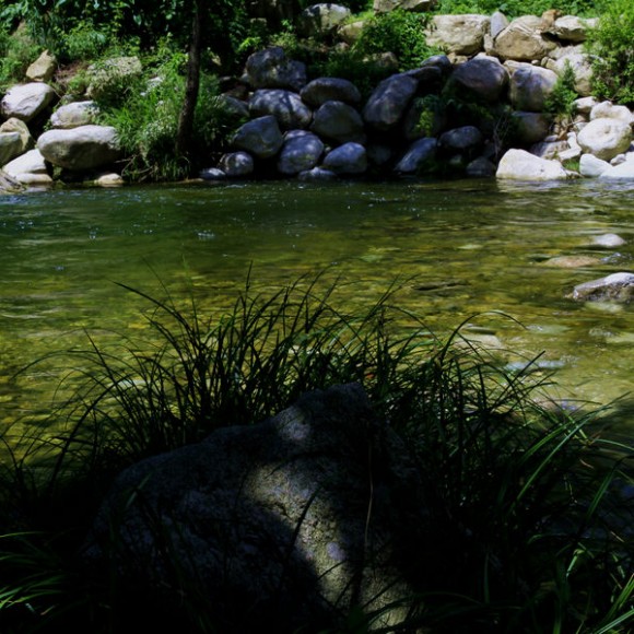 秦岭山小峪里的小溪水中出彩