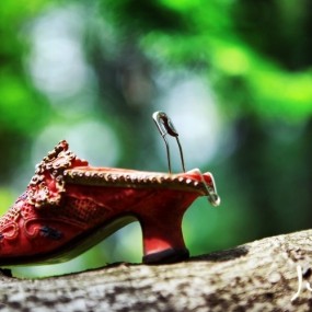 别针的小小世界（三）