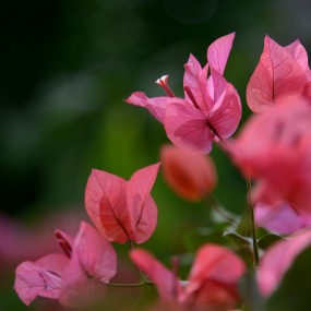 沣东农慱园作业