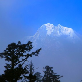 身不能至 心向往之