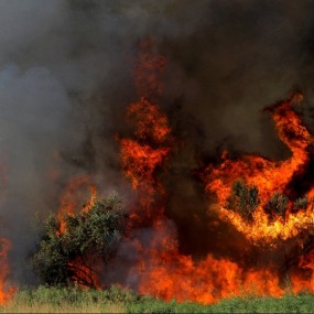 自选典藏：留住真实的瞬间（一）