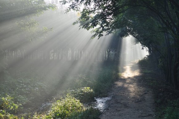 不是仙境,胜似仙境