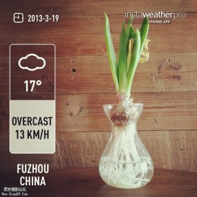 三月的一些生活记录