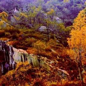 层林尽染已深秋