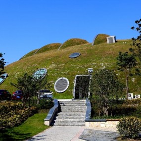 长江黄浦江入海口变湿地公园