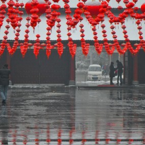 “雪绒花”——祝各位 龙年 大吉大利  佳片多多