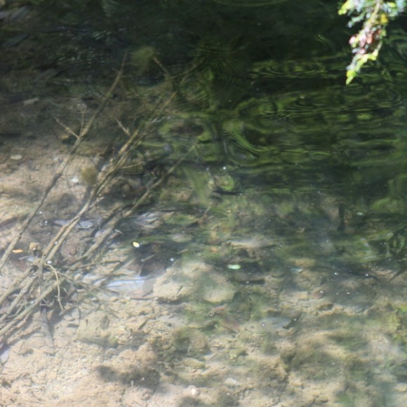 5月4-5日去金丝峡，习作。请指教！万分感谢！请指教细节！