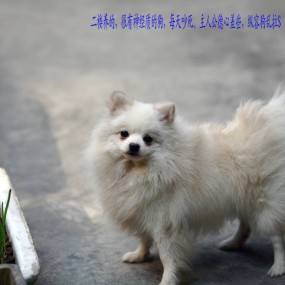 1109午饭后，遛弯时候顺便拍拍