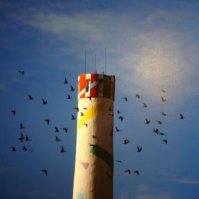 复制(华商美术馆看到的纪实片）