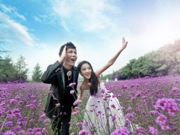四月花季，那画面美的让人怦然心动！