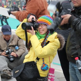 补充一张哦！！！