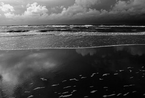 我们的黑白世界