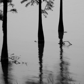 110925 SONGSHAN LAKE
