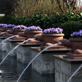 天朗大兴郡。园林景观