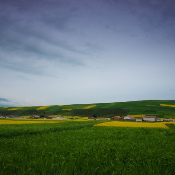 青海不再遥远（二）