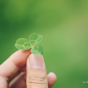 近距离的生态照