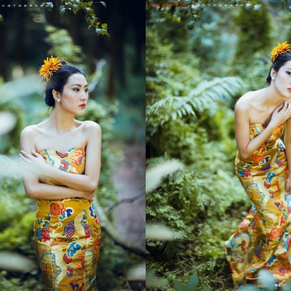 森林中的火凤凰