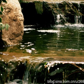 落花有意随流水
