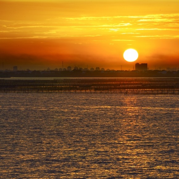 如果一些画面能让你看着很安静