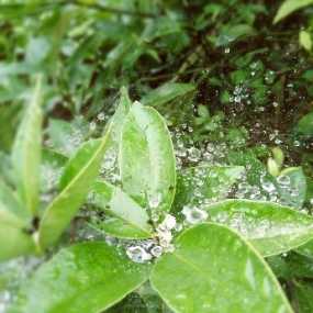 与你相遇，好幸运！