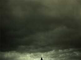 一组视觉效果很不错的照片