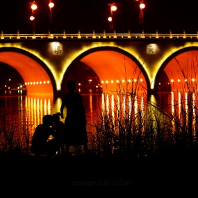 【曲江南湖夜景】