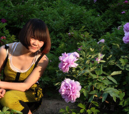 牡丹花下之少女