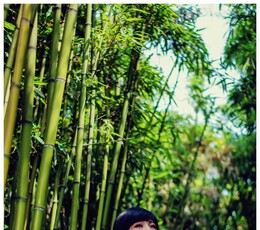 29日人像作业。第二组