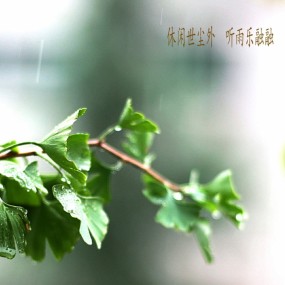 休闲世俗外  听雨乐融融