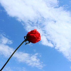 蓝天白云下的遐想