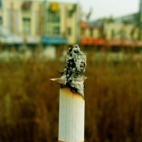 发现手机拍的虚化比我相机拍的好