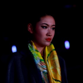 一条丝路两城秀（2014-11-28-西安）