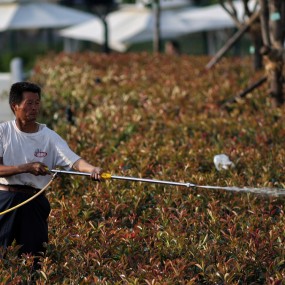 劳动最美丽——2012年度世园公园摄影大赛参赛作品